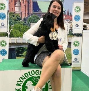 Shine in the Darkness 