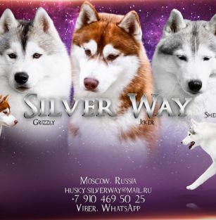 Silver Way