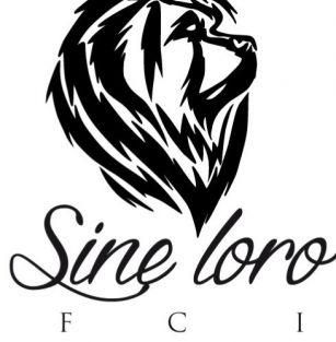 Sine loro FCI - domowa hodowla psów rasy leonberger i landseer