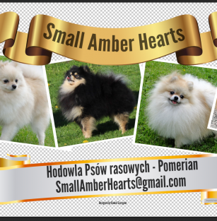 Small Amber Hearts