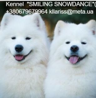 Smiling Snowdance