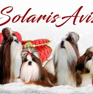 SOLARIS AVIS