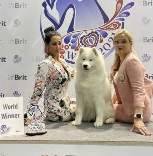 Sonata Arctica (FCI)