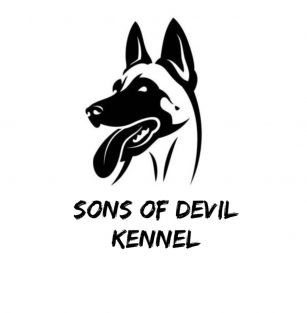 Sons of Devil 