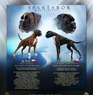Spartabox FcI