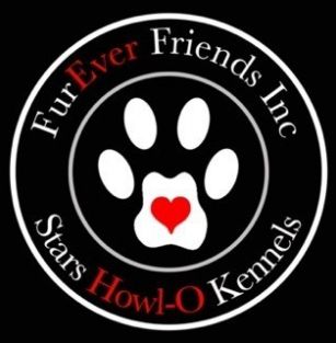 Stars Howl-O Kennels by FurEver Friends Inc