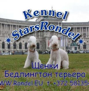Stars Rondel