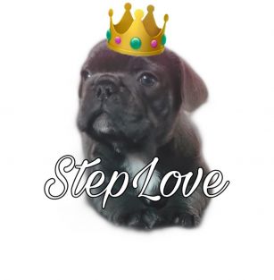 Step Love