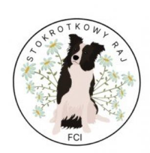 Stokrotkowy Raj FCI