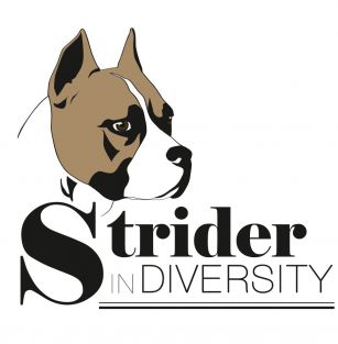 Strider in Diversity kennel