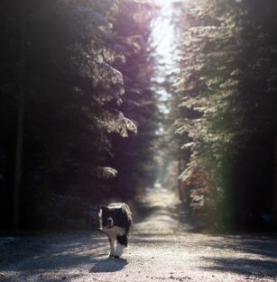 Szczęśliwa Siódemka