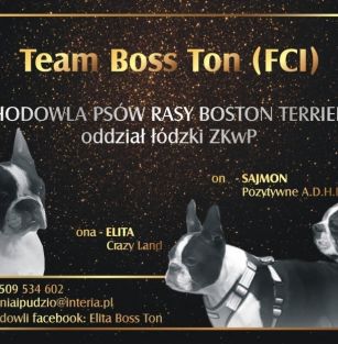 Team Boss Ton