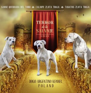 Terror De La Salvaje