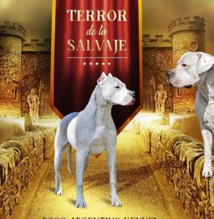 Terror De La Salvaje