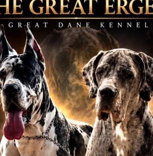 The Great Ergen 