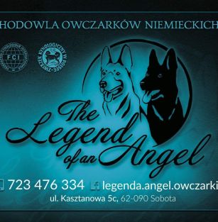 The Legend of an Angel