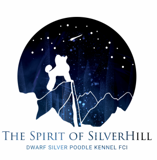 The Spirit of Silverhill