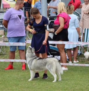 the Valley of Freedom