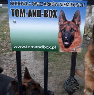 Tom-And-Box FCI
