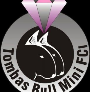 TOMBAS BULL MINI