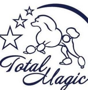 TOTAL MAGIC