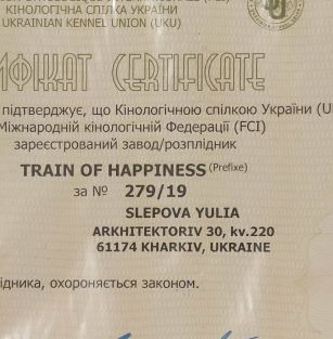 Train of happiness