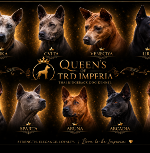 TRD IMPERIA 