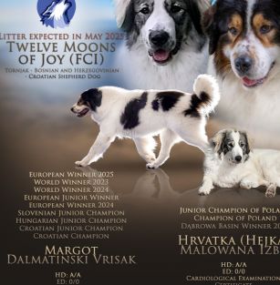 Twelve Moons of Joy FCI