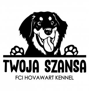 Twoja Szansa