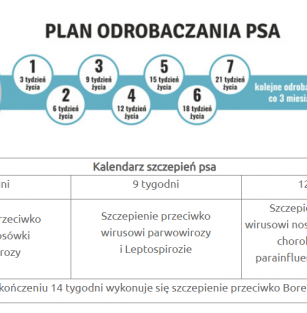 U Stóp Szklanych Gór