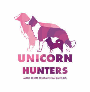 Unicorn Hunters