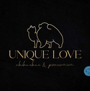 Unique Love FCI 
