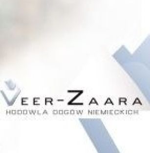 Veer-Zaara FCI 