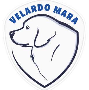 Velardo Mara