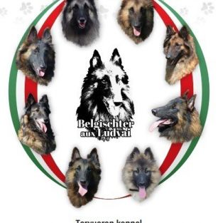 Veronika Vladár-Ludvai