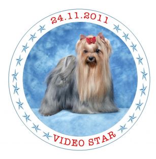 Video Star