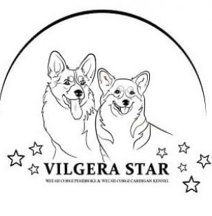 Vilgera Star