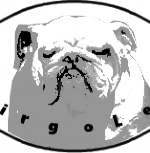 virgoleozg@gmail.com