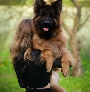 vom Delta Centauri FCI 