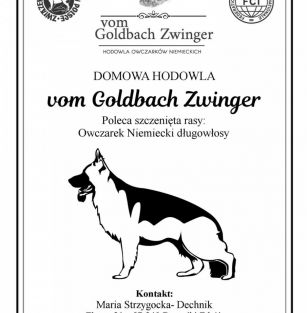 vom Goldbach Zwinger