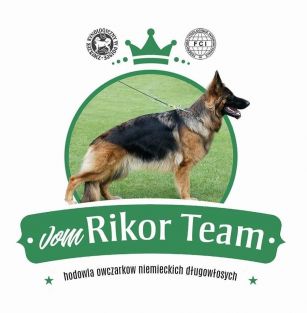vom Rikor Team 