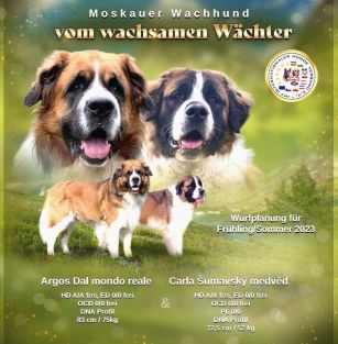 vom wachsamen Wächter 