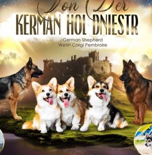 Von der Kerman hol Dniestr 