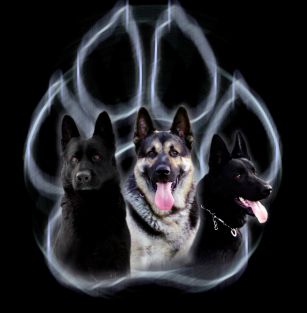 Войско Арагорна