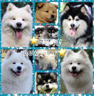 Whipped Cream’s Kennel