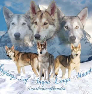 Whitefang's... of Angou Loup's Mountain 