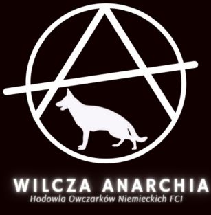 Wilcza Anarchia