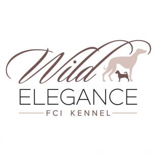 Wild Elegance FCI