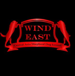 Wind East