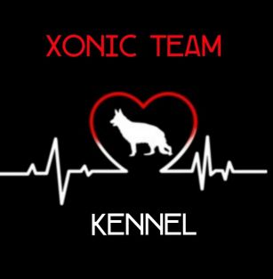  Xonic Team kennel